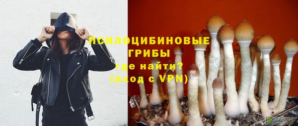 ешки Бронницы