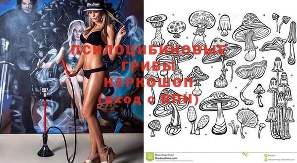 ешки Бронницы