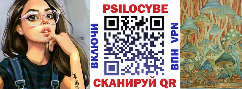 OMG как зайти  Лодейное Поле  Псилоцибиновые грибы MAGIC MUSHROOMS 